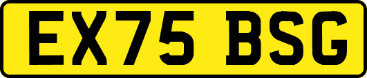EX75BSG