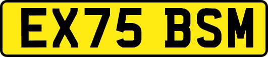 EX75BSM