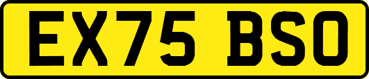 EX75BSO