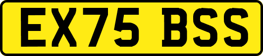 EX75BSS