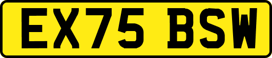 EX75BSW