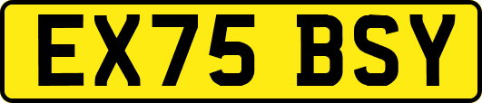 EX75BSY