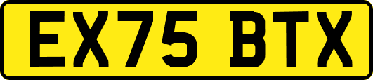 EX75BTX