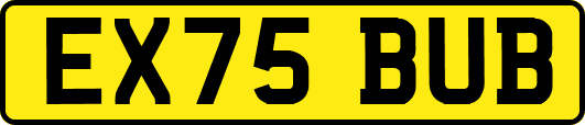 EX75BUB