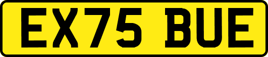 EX75BUE