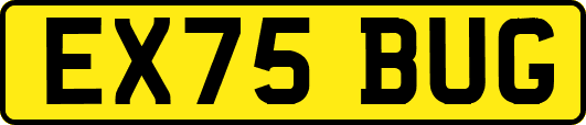 EX75BUG