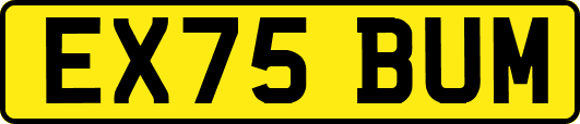 EX75BUM