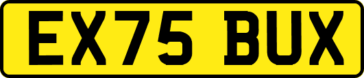 EX75BUX