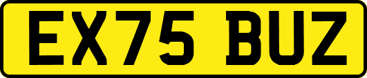 EX75BUZ