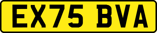 EX75BVA