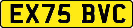 EX75BVC