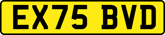 EX75BVD