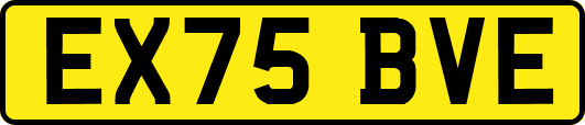 EX75BVE