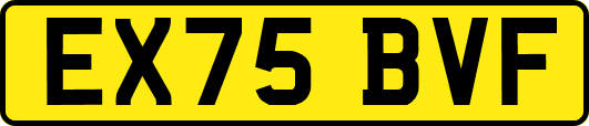 EX75BVF