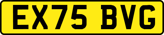 EX75BVG