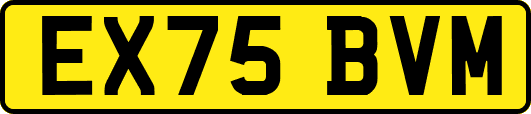 EX75BVM