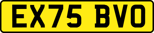 EX75BVO