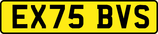 EX75BVS