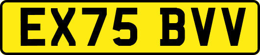 EX75BVV