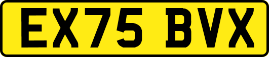 EX75BVX
