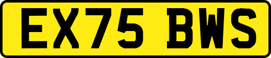 EX75BWS