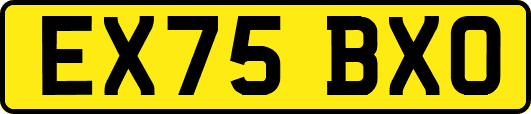 EX75BXO