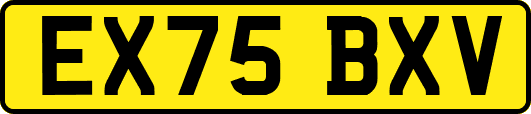 EX75BXV