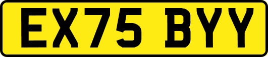EX75BYY