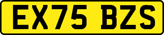 EX75BZS