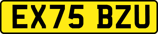 EX75BZU