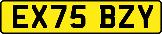 EX75BZY