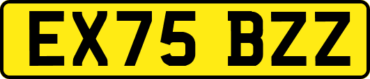 EX75BZZ