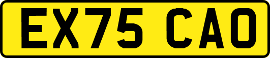 EX75CAO