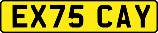 EX75CAY