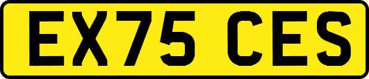 EX75CES