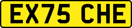 EX75CHE