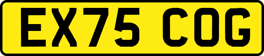 EX75COG