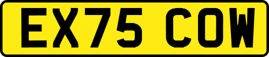 EX75COW