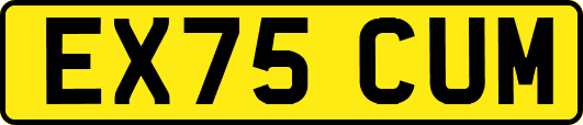 EX75CUM