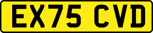 EX75CVD