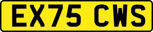 EX75CWS