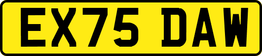 EX75DAW