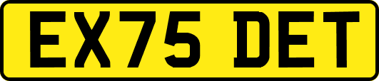 EX75DET