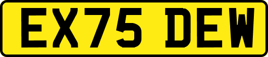 EX75DEW