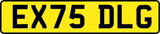 EX75DLG