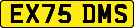 EX75DMS