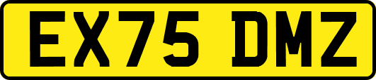 EX75DMZ