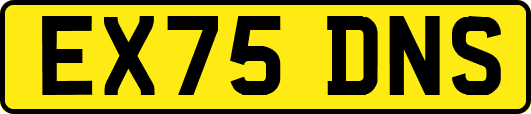 EX75DNS