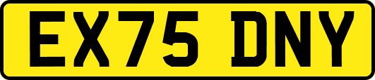 EX75DNY