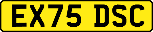 EX75DSC